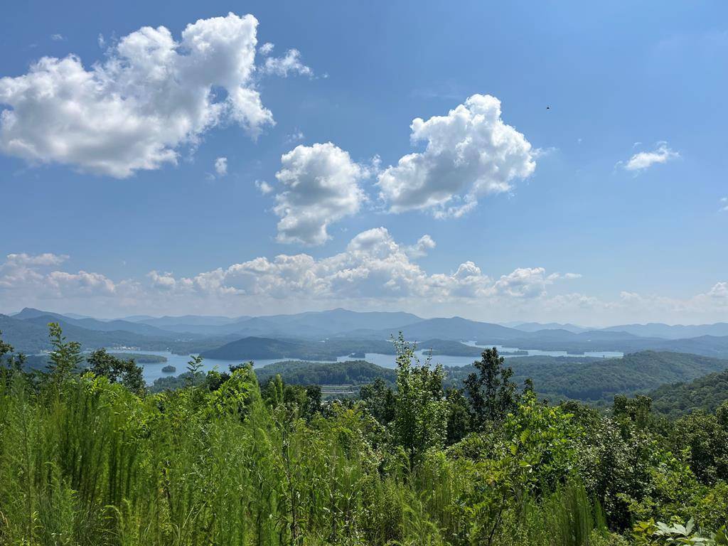 Hayesville, NC 28904,Lot 13 Bell Lake View