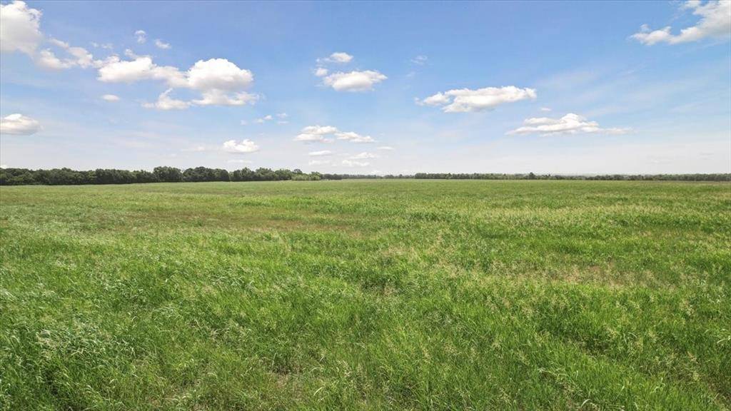 Wolfe City, TX 75496,TBD County Rd 3735