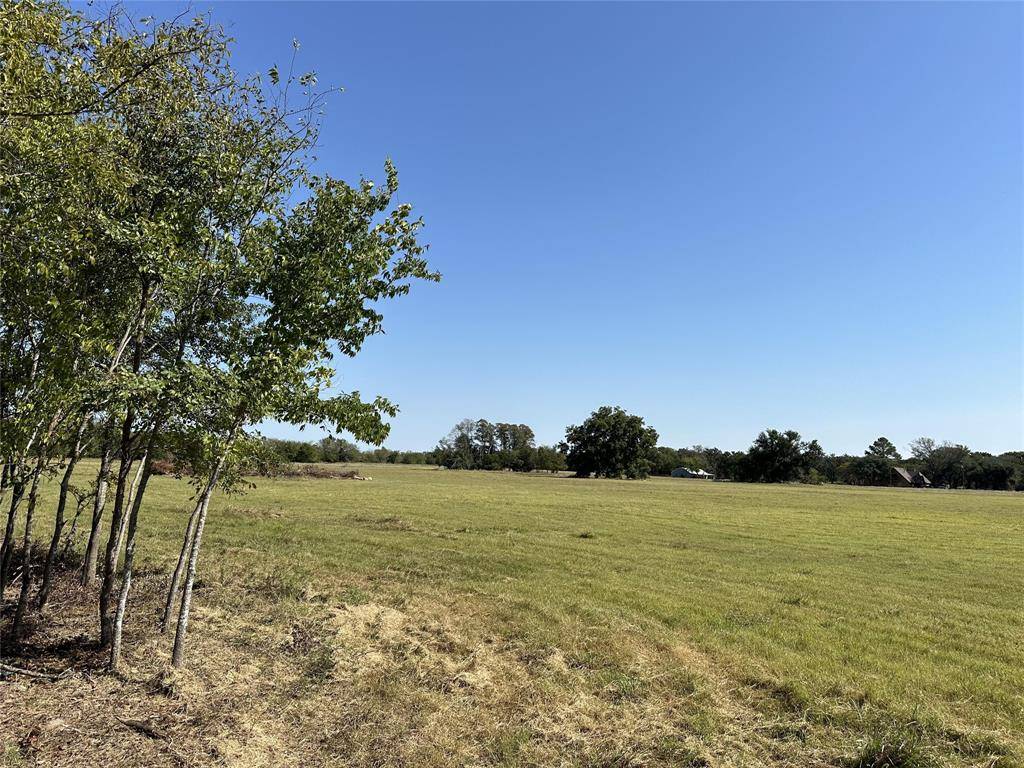 Kaufman, TX 75142,TBD Lot 3 County Road 111