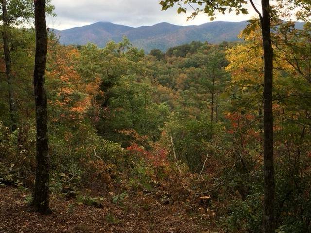 Hiawassee, GA 30546,Lot 28 Big Cove Drive