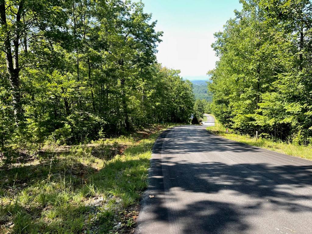 Hiawassee, GA 30546,Lot 28 Big Cove Drive