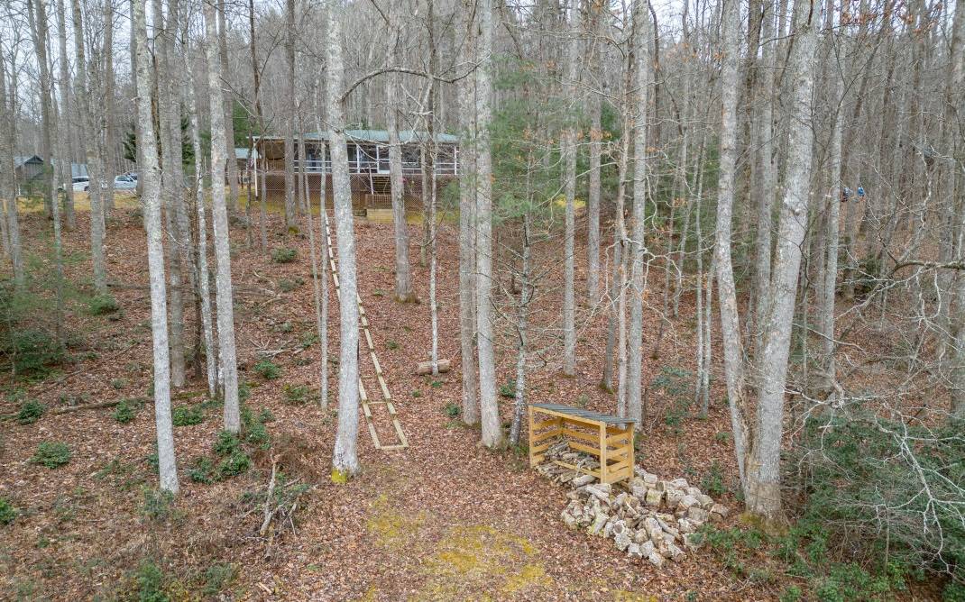 Suches, GA 30572,140 Wildcat Trail