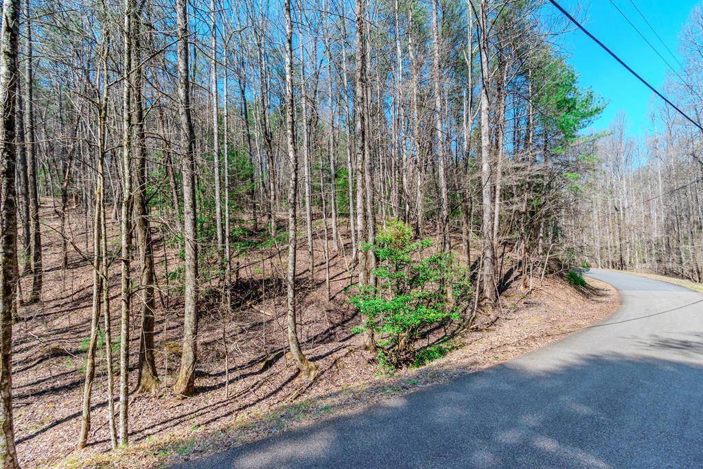 Ellijay, GA 30540,Lot 694 Satsuma Court