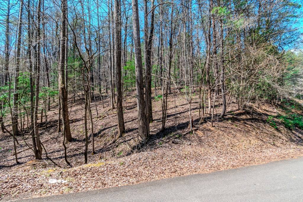 Ellijay, GA 30540,Lot 694 Satsuma Court