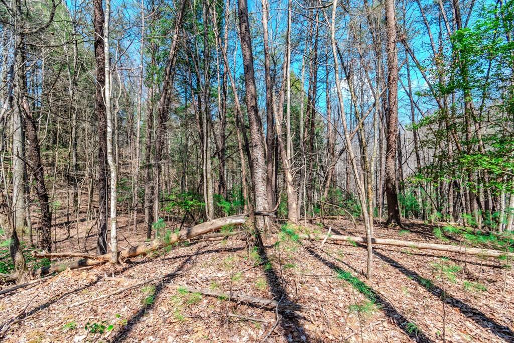 Ellijay, GA 30540,Lot 694 Satsuma Court