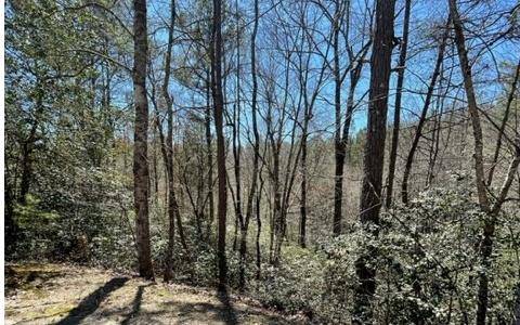 Warne, NC 28909,Lot 6 Willow Ridge