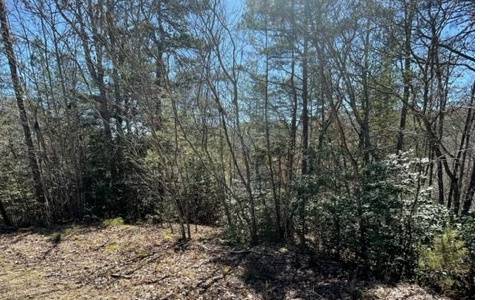 Warne, NC 28909,Lot 6 Willow Ridge