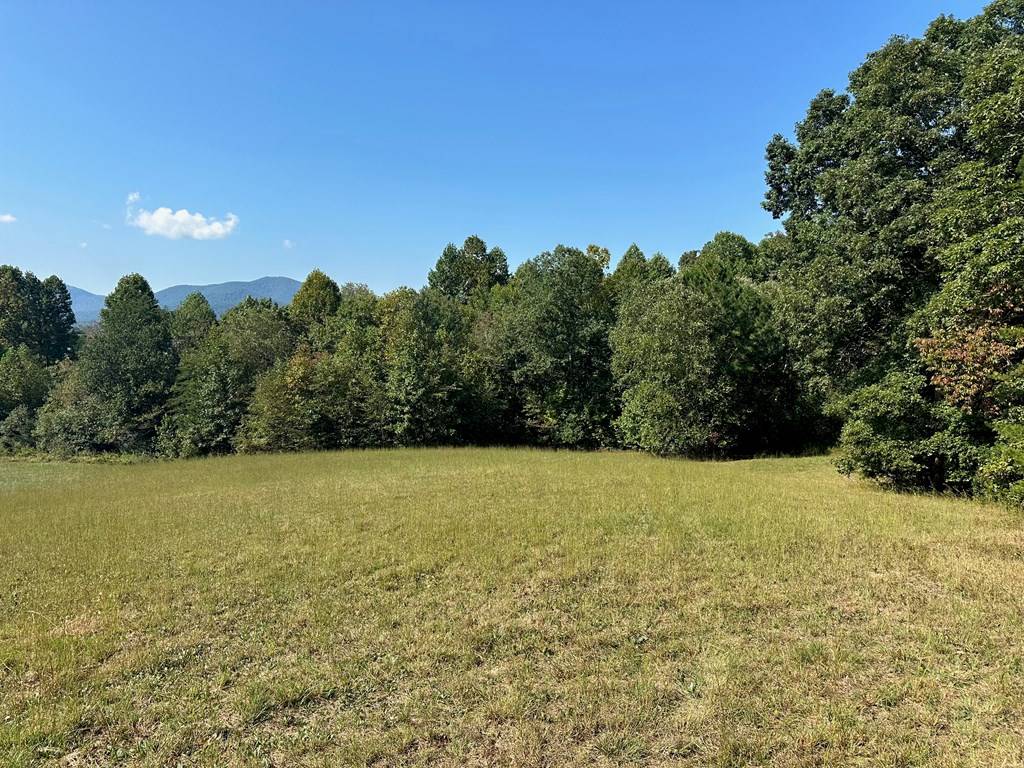 Young Harris, GA 30582,Lot 51 The Preserve Ar Cc