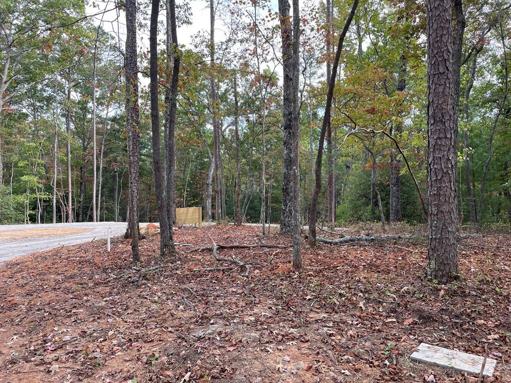 Blairsville, GA 30512,Lot 1 Prospect Ridge Road