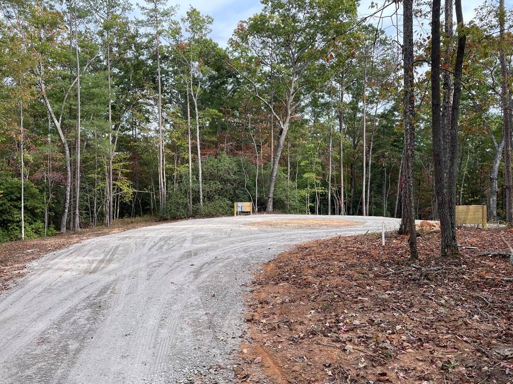 Blairsville, GA 30512,Lot 1 Prospect Ridge Road