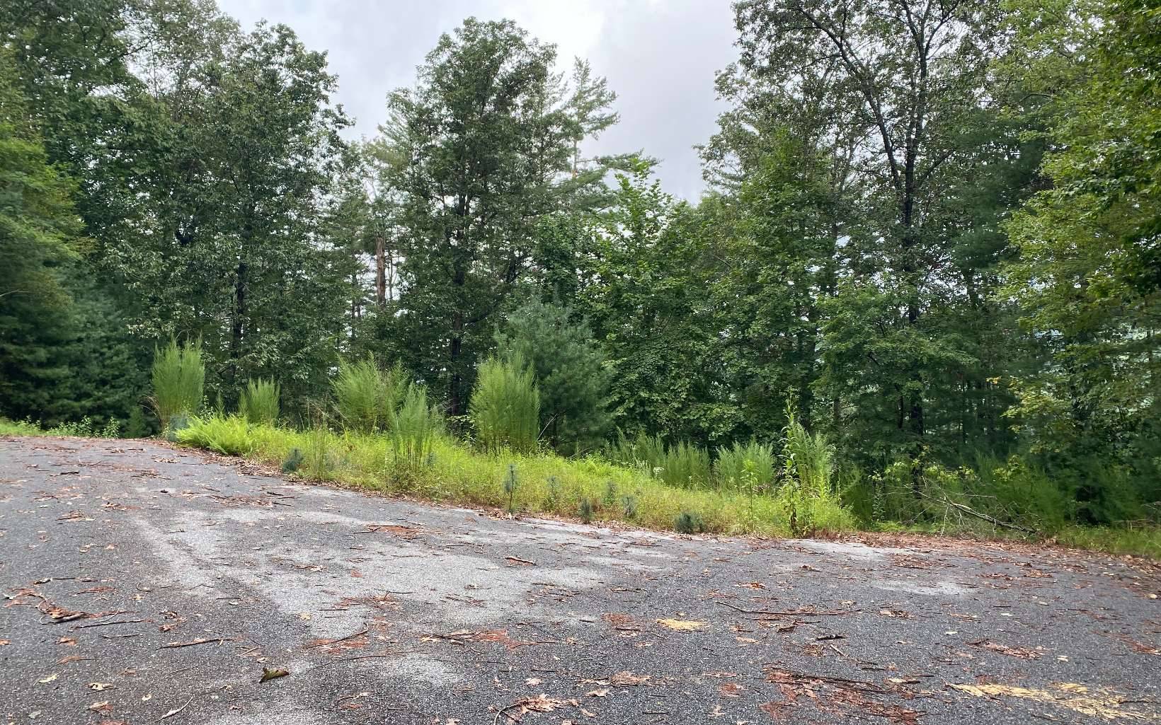 Suches, GA 30572,Lot 55 Laurel Trail