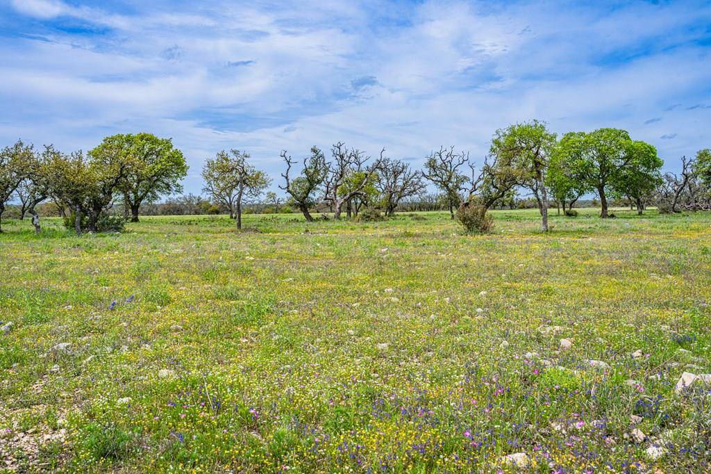 Harper, TX 78631,Lot 18 -- Goose Landing WAY