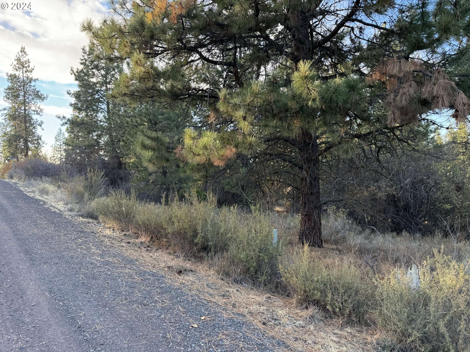 Chiloquin, OR 97624,Treeland RD #Lot 6