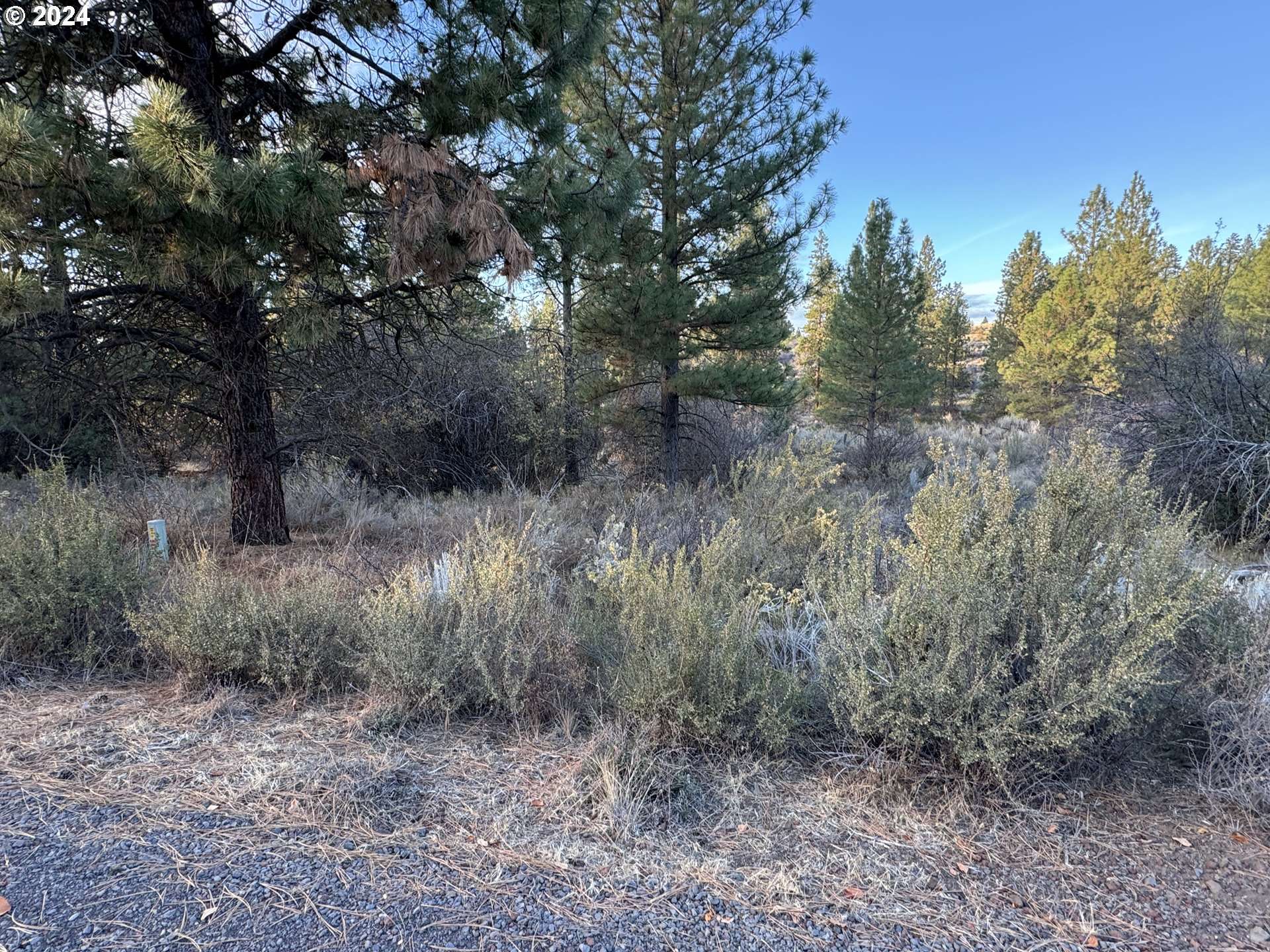 Chiloquin, OR 97624,Treeland RD #Lot 6