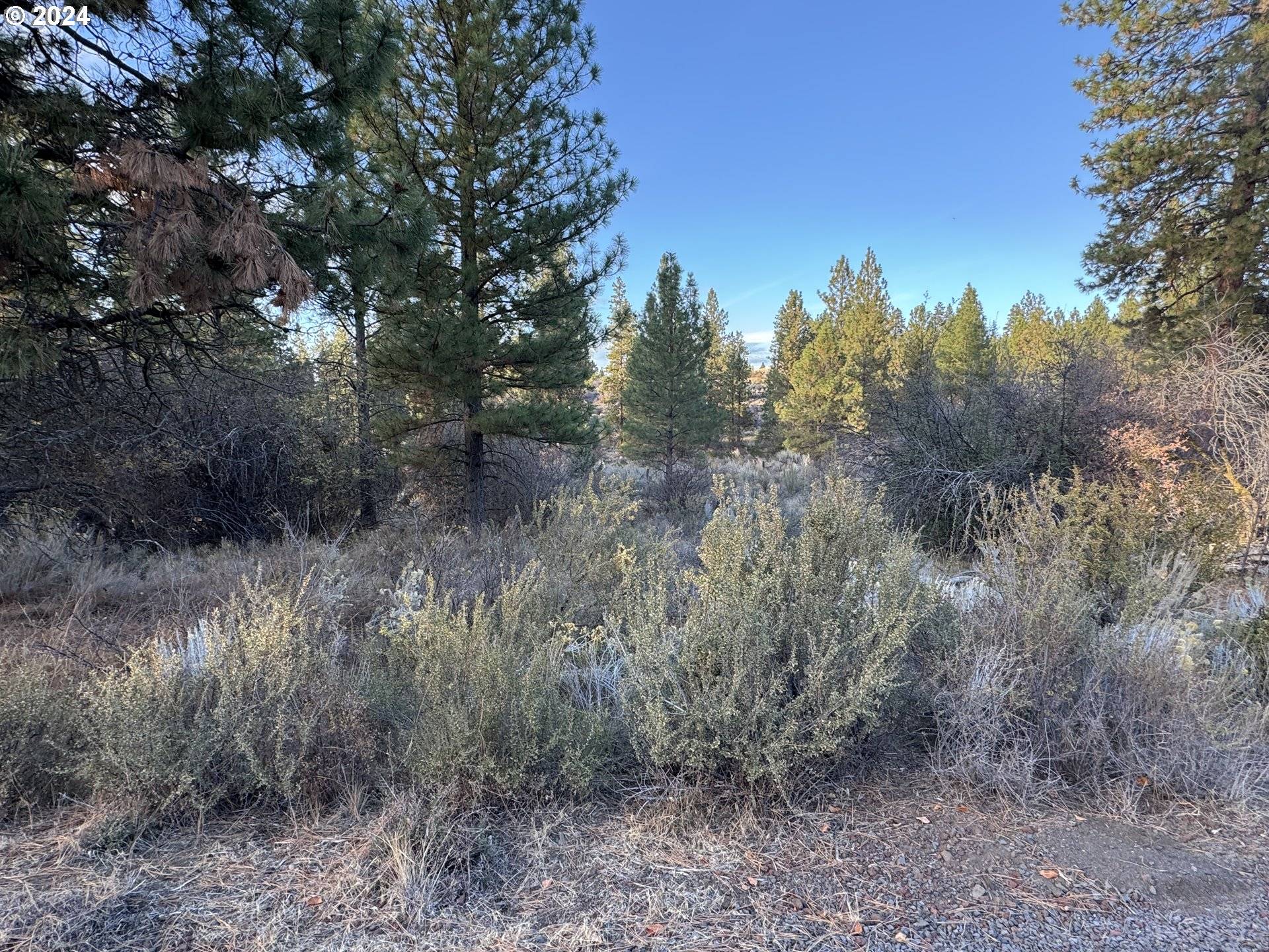 Chiloquin, OR 97624,Treeland RD #Lot 6