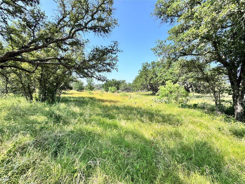 Brownwood, TX 76801,TBD Lot 667 Lanyard Way