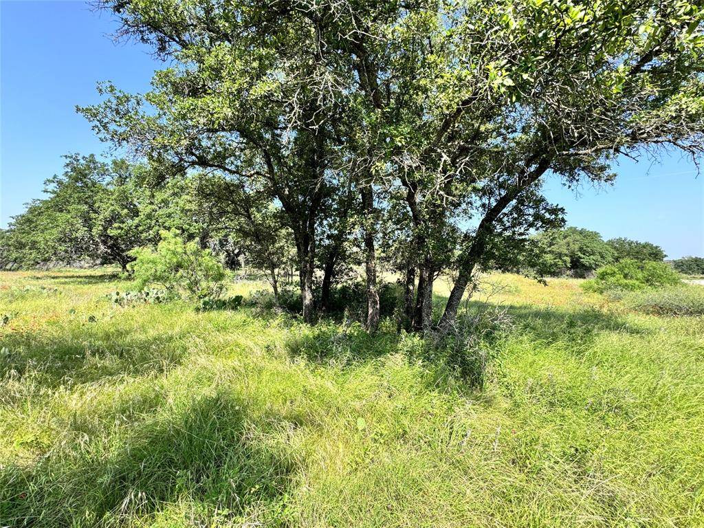 Brownwood, TX 76801,TBD Lot 667 Lanyard Way