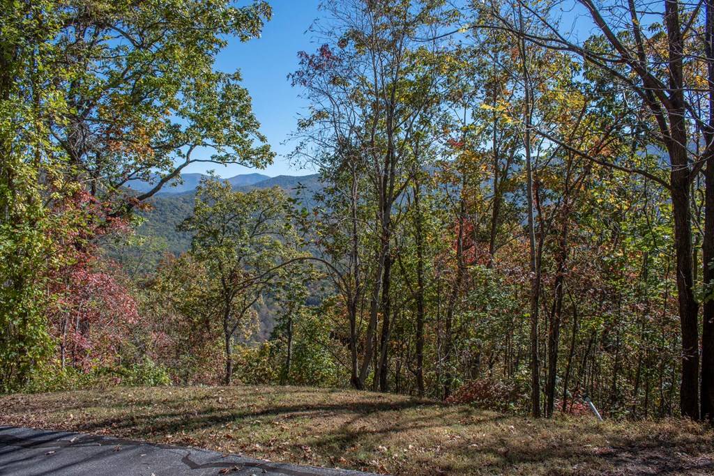 Hayesville, NC 28904,Lot 70 Dan Knob