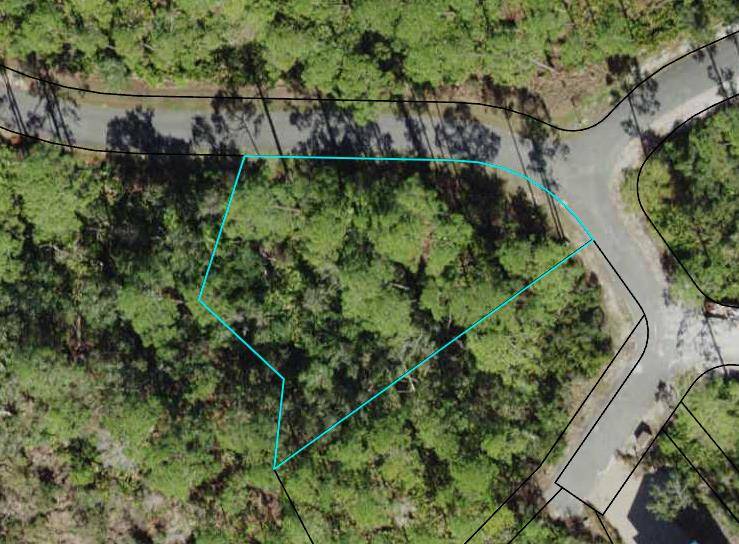 St. Teresa, FL 32358,136 Marshmallow Ln  # Lot 483