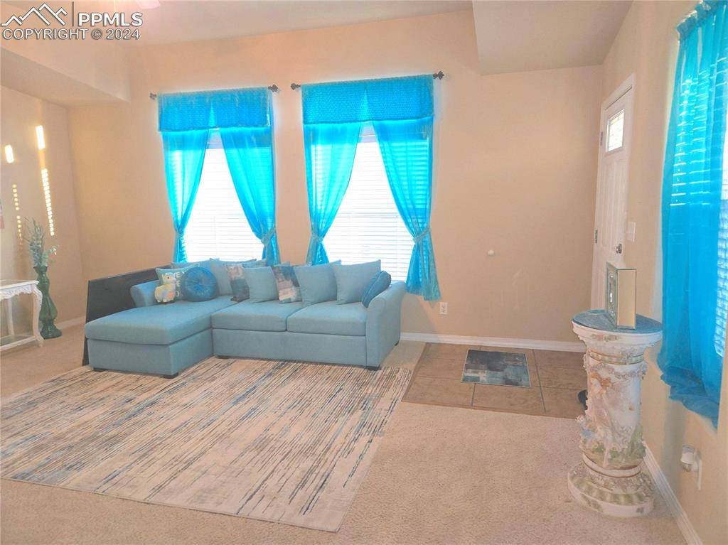 Colorado Springs, CO 80922,4616 Pika PT