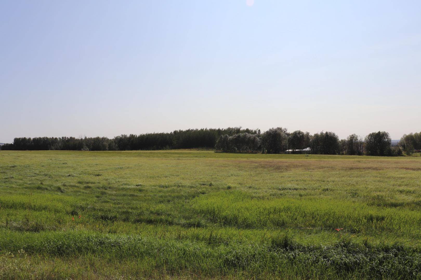 Rural Ponoka County, AB T4J 1R1,253050 Township Road 424