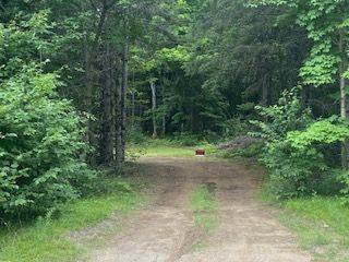 Hastings Highlands, ON K0L 2S0,0 Little Papineau Lake RD