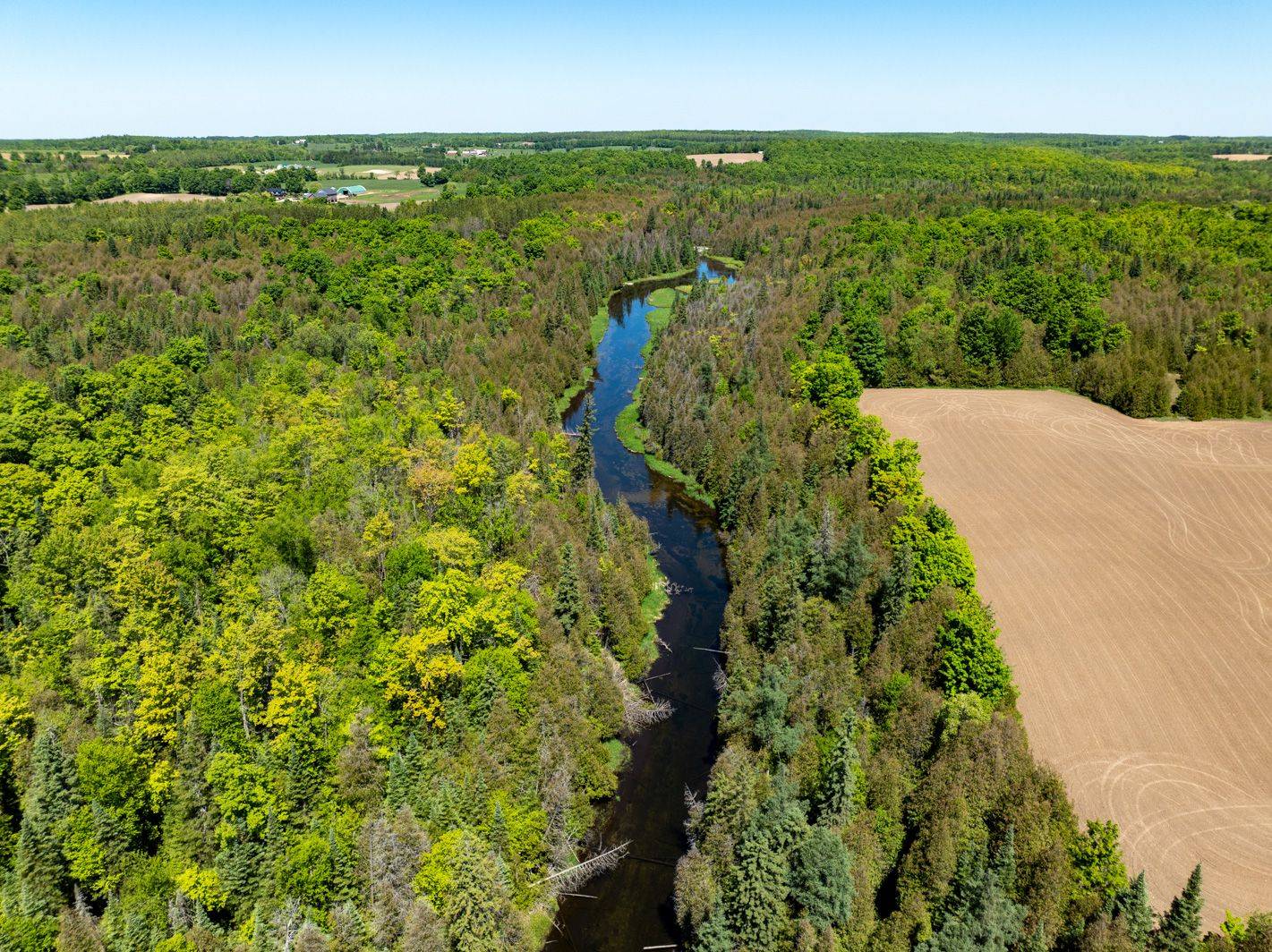 Grey Highlands, ON N0C 1H0,545098 Sideroad 4A Side Road