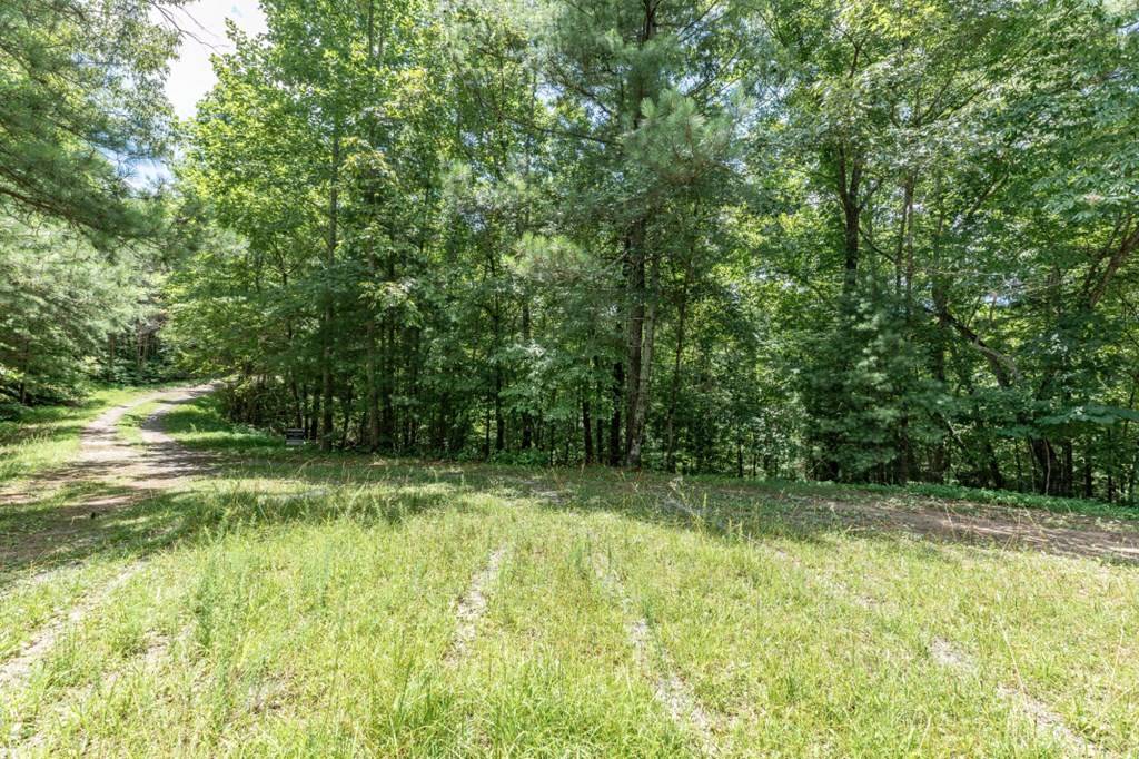 Talking Rock, GA 30534,Lot 1687 Shade Tree Drive