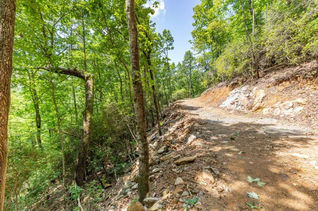 Epworth, GA 30541,Lot 6 Quail Ridge Road