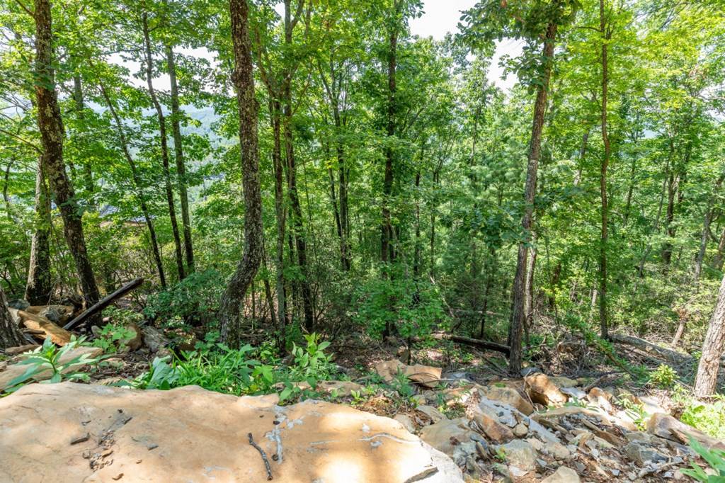 Epworth, GA 30541,Lot 7 Quail Ridge Road