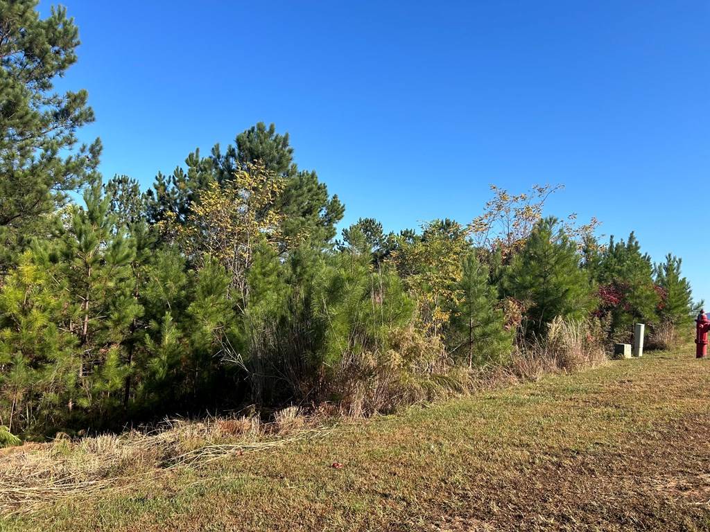 Blairsville, GA 30512,Lot 379 Marshall Rise Road