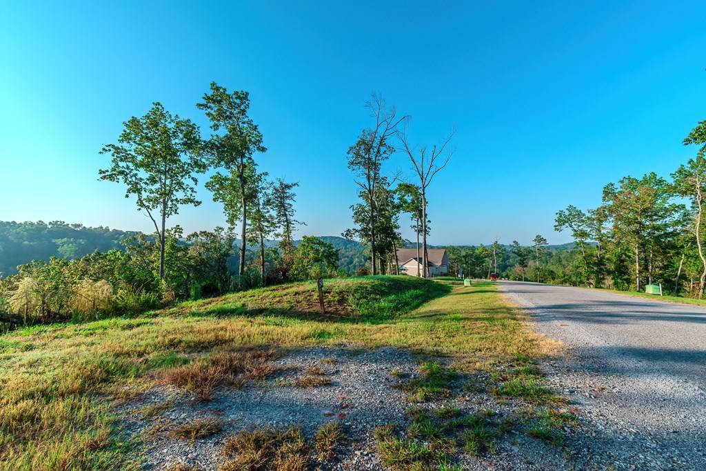 Ellijay, GA 30540,Lot 50 Jakes Landing Way