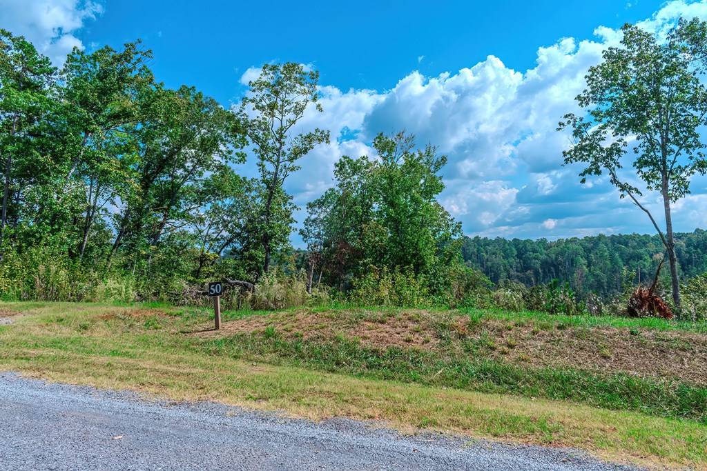 Ellijay, GA 30540,Lot 50 Jakes Landing Way