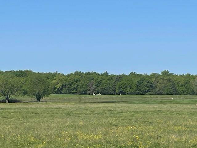 Honey Grove, TX 75446,801 CR-36010