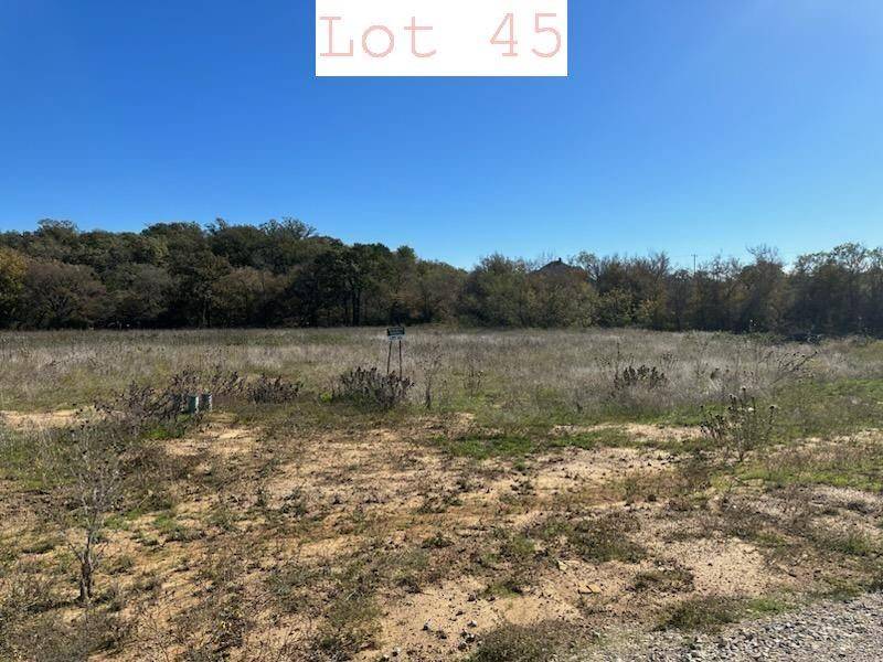 Santo, TX 76067,Lot 45 Sportsman Drive