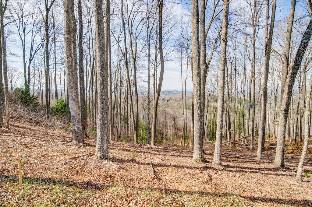 Blairsville, GA 30512,0 Winding Ridge Lot 40