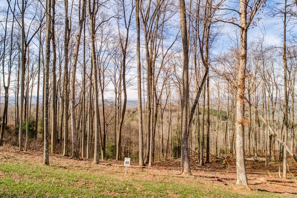 Blairsville, GA 30512,0 Winding Ridge Lot 40