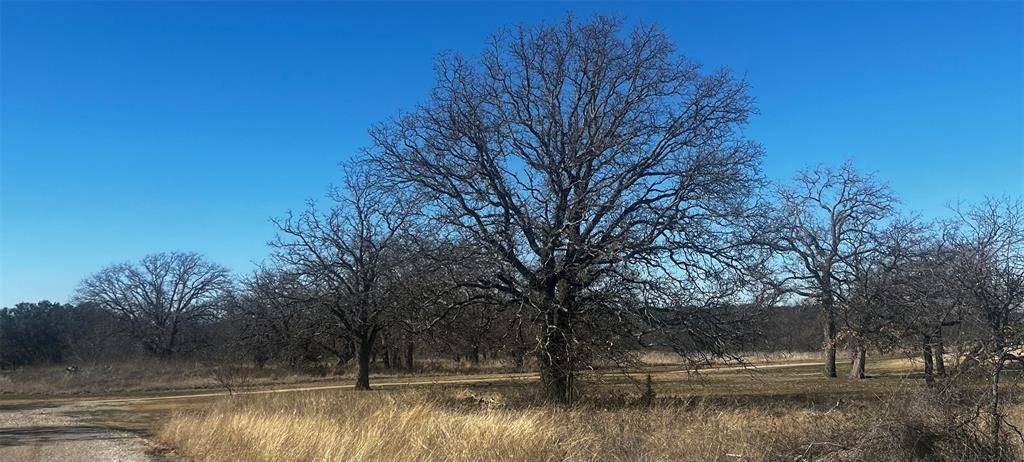 Brownwood, TX 76801,LOT 588 Crows Nest