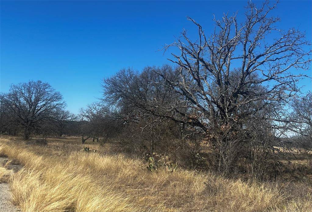 Brownwood, TX 76801,LOT 588 Crows Nest