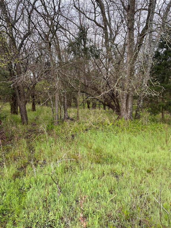 Ladonia, TX 75449,0 000 CR-4911 #Lot 1