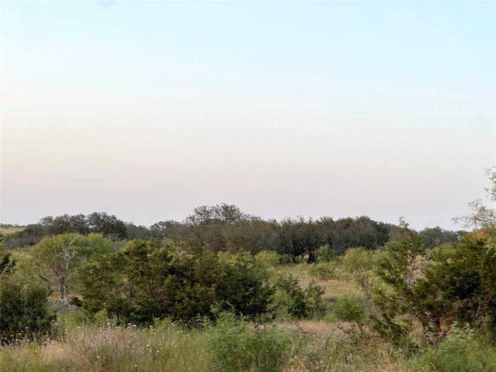 Goldthwaite, TX 76844,Lot14 N County Road 510