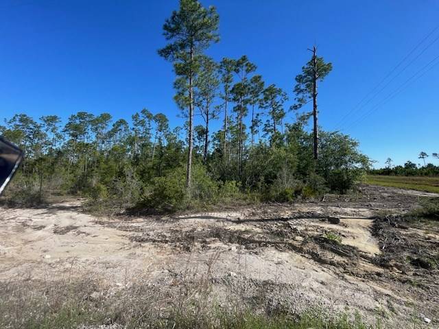 Wewahitchka, FL 32456,TBD CR 386 N