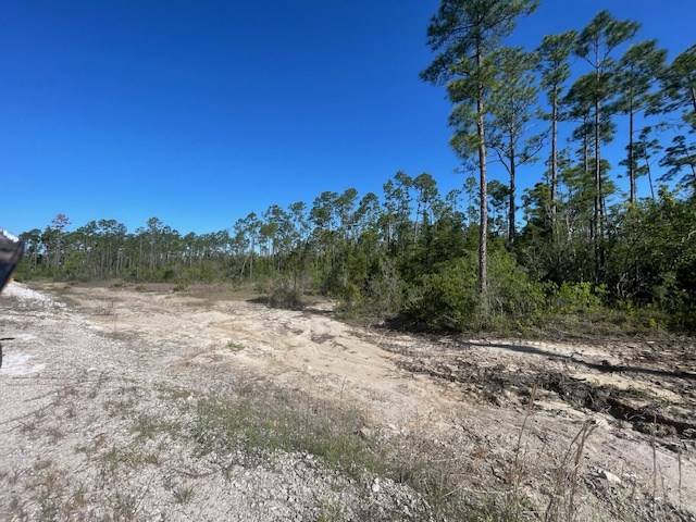 Wewahitchka, FL 32456,TBD CR 386 N