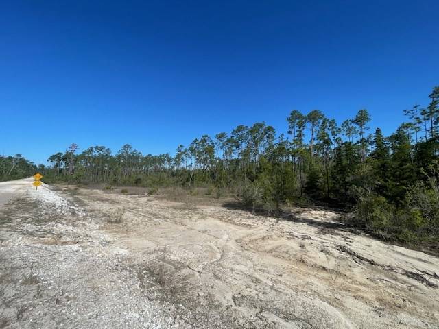 Wewahitchka, FL 32456,TBD CR 386 N