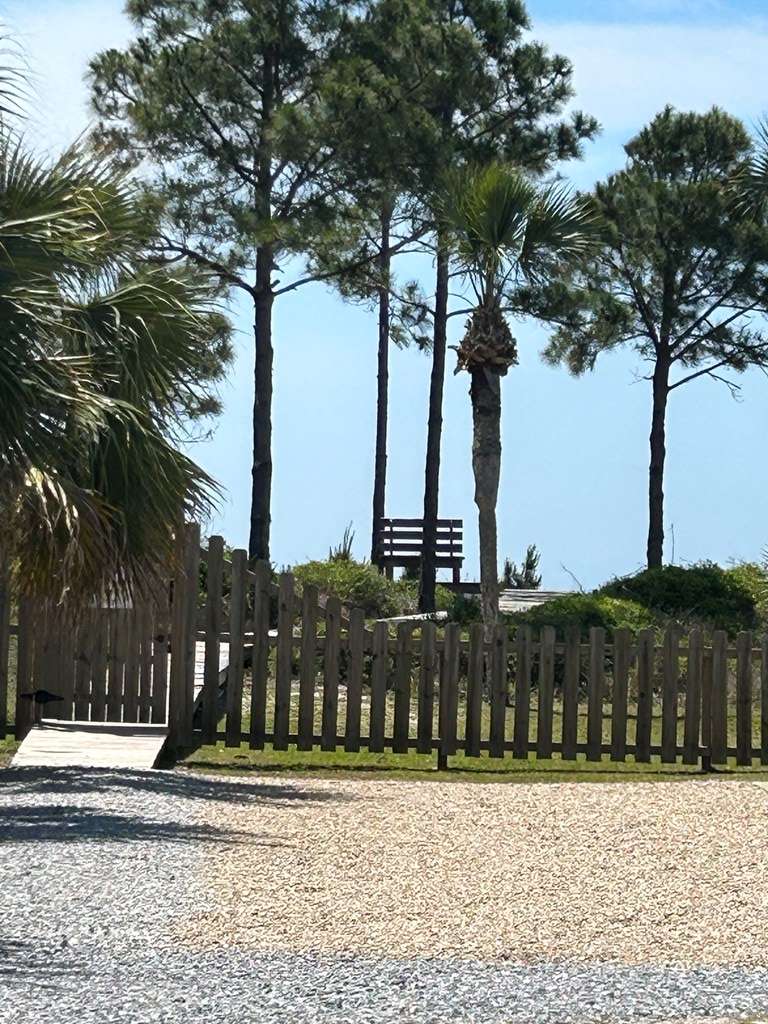 Port St. Joe, FL 32456,Lot 8 Moonrise Ave