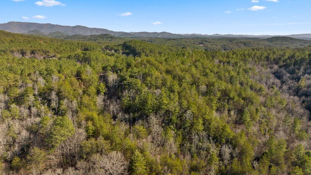 Turtletown, TN 37391,LOT 19 Skyline Drive