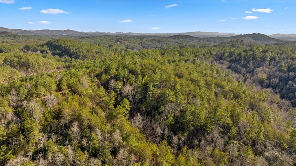 Turtletown, TN 37391,LOT 19 Skyline Drive