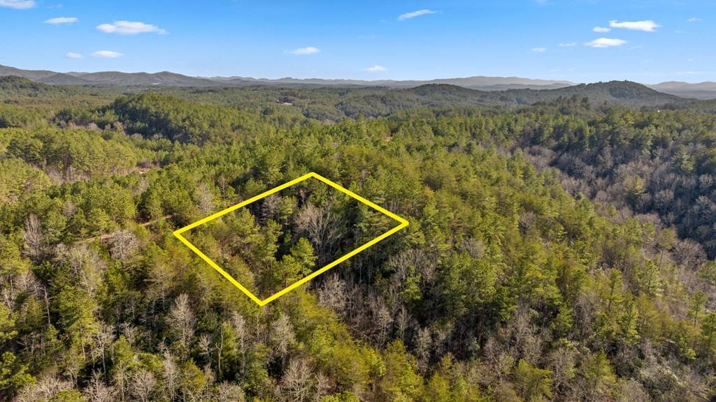 Turtletown, TN 37391,LOT 19 Skyline Drive