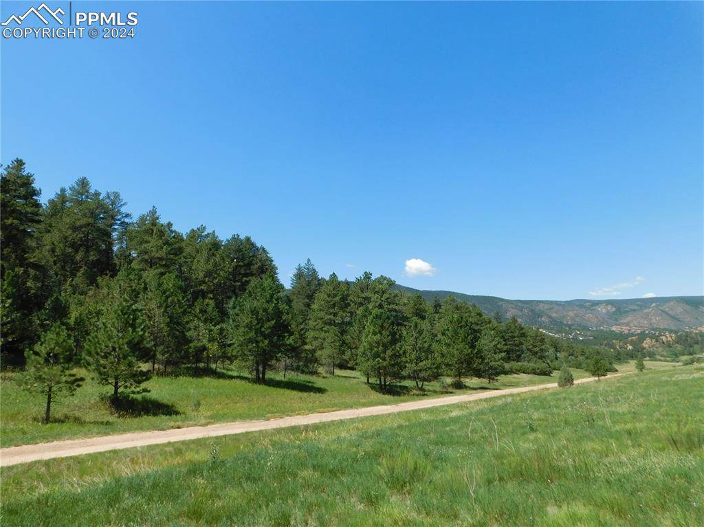 Larkspur, CO 80118,4668 Comanche DR