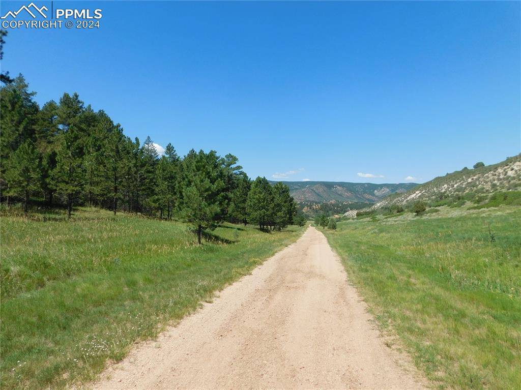 Larkspur, CO 80118,4668 Comanche DR